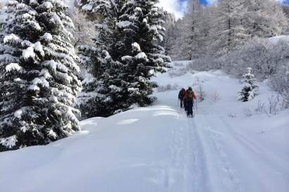 schneeschuhwandern_kals.jpg